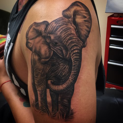 tattoo artist henderson Skin Factory Tattoo & Body Piercing