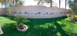 turf supplier henderson Absolute Paradise Landscaping