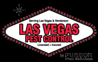 pest control service henderson Ambush Pest Control