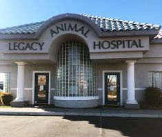 veterinarian henderson Legacy Animal Hospital