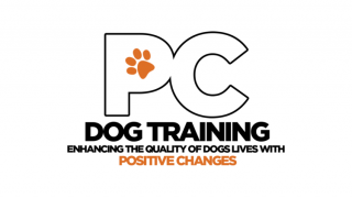 dog trainer henderson Positive Changes Dog Training