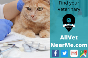 Find your Veterinary - allvetnearme.com 5